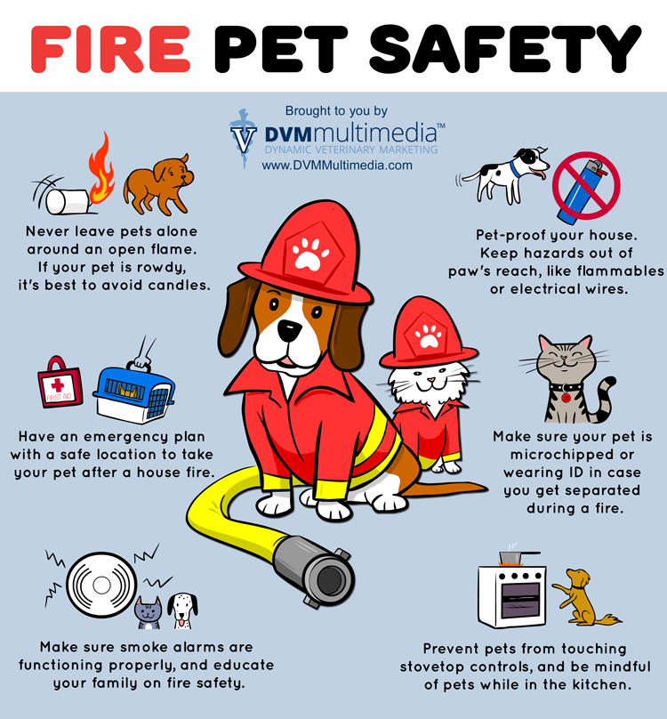 Fire Safety and Your Pets