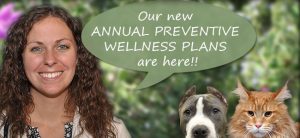 wellness-plans-dog-cat