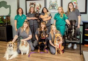Bartlesville Veterinary Services